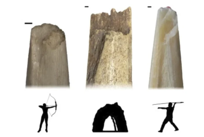 &iquest;Usaban varias armas los primeros Homo sapiens? 191 disparos recreados apuntan a una forma de caza distinta