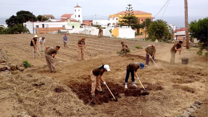 La Crisis de Costos Amenaza la Producción de Tomate en España