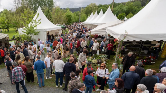 San Sadurniño bate récords de participación en su ‘Feira da Plantación’