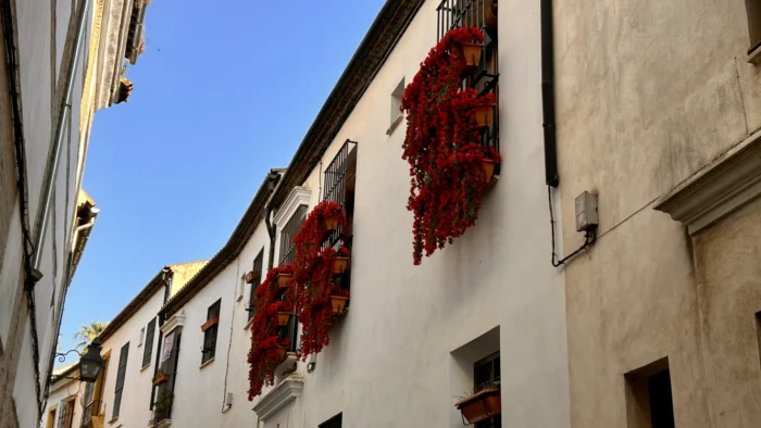 Córdoba florece: publican el listado provisional del Concurso de Rejas y Balcones 2026