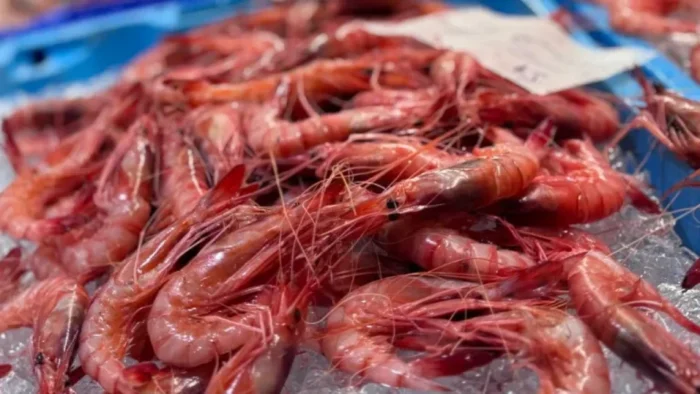 Águilas celebra la décima edición de sus Jornadas Gastronómicas de la Gamba Roja