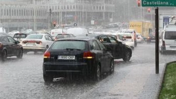 Aviso serio al hormigón: el musgo absorbe 20 veces su peso y frena acumulaciones de agua en zonas críticas