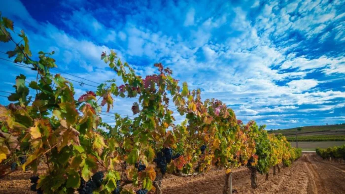 Nuevos desafíos para la economía de Castilla y León ante la inestabilidad global